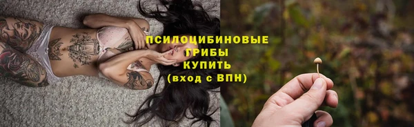 метадон Армянск