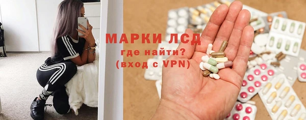 шишки Надым