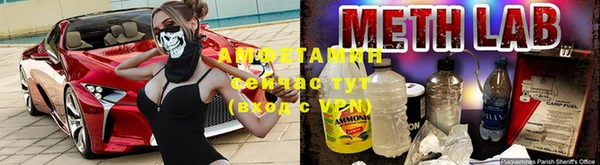 шишки Надым